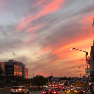 Meet your Posher, Cassidy